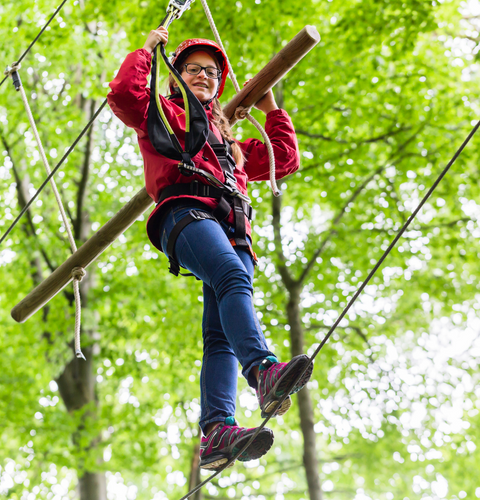 High ropes course  (480 × 500px)