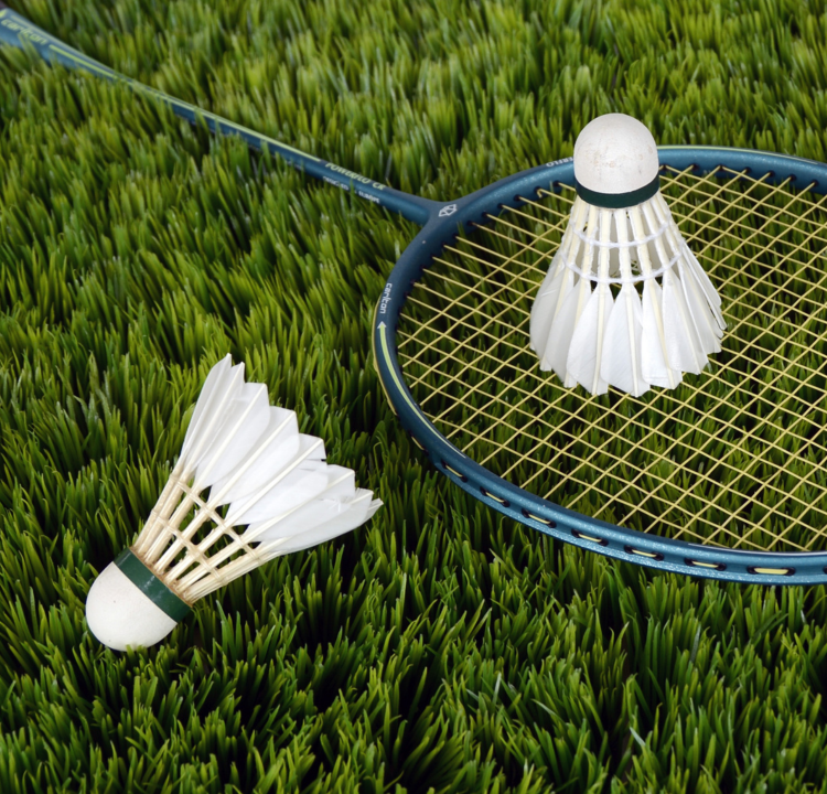 EZ-Runner Badminton Image 1 (500 x 480)